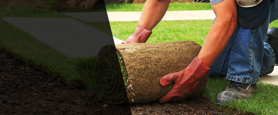 South Dakota Landscapers